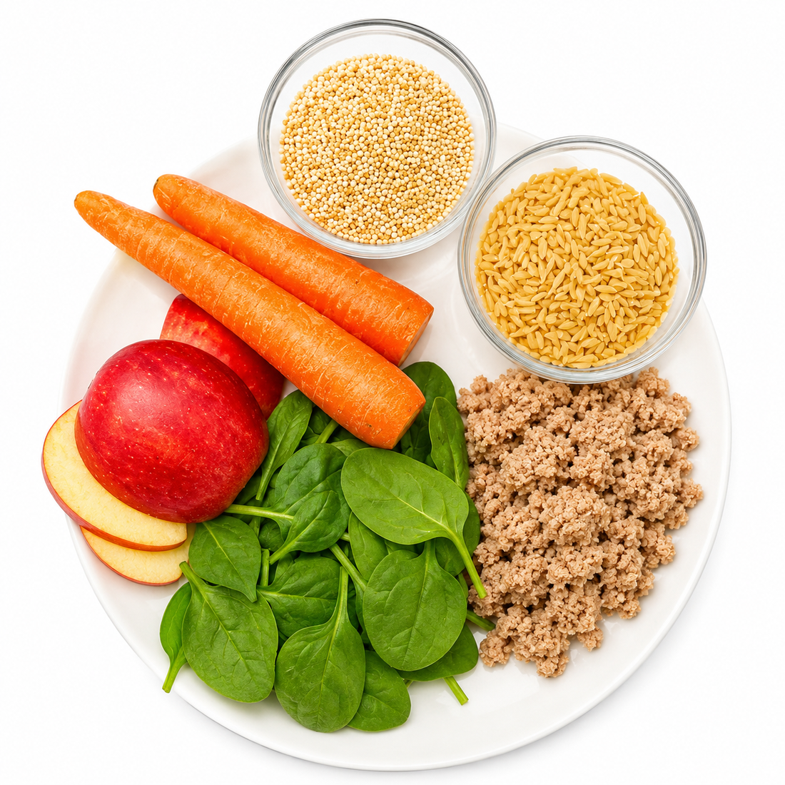 Human-grade dog food ingredients: carrots, spinach, apple, ground meat, quinoa and rice | KeyCan