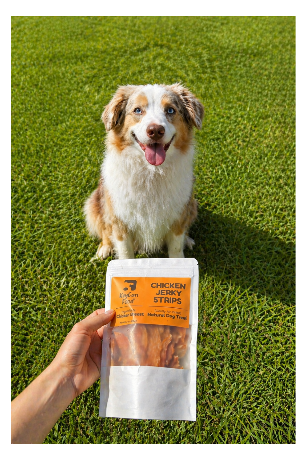 Chicken Jerky Strips